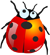 debug